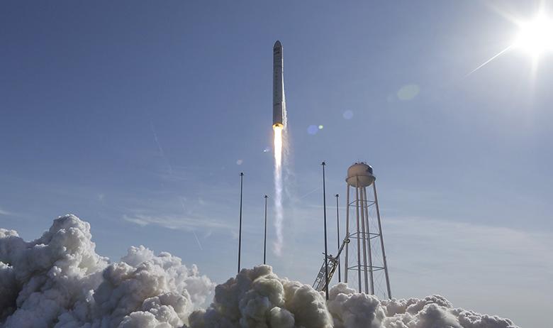 Cygnus
