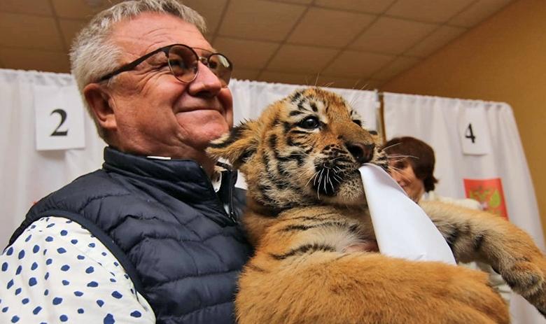 Сергей Писарев