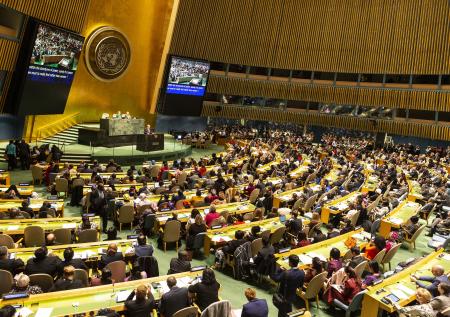 Комиссия СПЧ ООН расследует нарушения прав человека на Украине