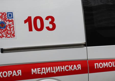Алабай напал на школьника в Красноярском крае