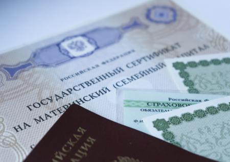 Названы отличия маткапитала от субсидии для многодетных семей