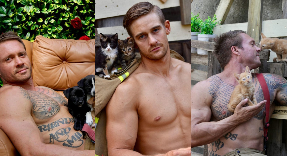 Главной темой календаря на 2019 год стали местные животные