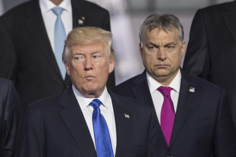 Дональд Трамп и Виктор Орбан