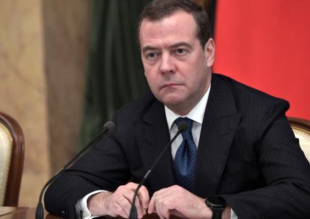 Медведев раскрыл, что ждет неонацистов перед «общерусской стеной»