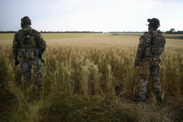 Военнослужащие РФ на пшеничном поле в Мелитопольском районе Запорожской области