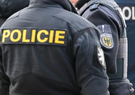Поляк пришел в полицию с извинениями и коноплей