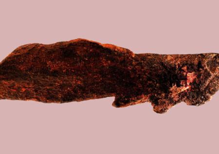 В Танзании нашли костяные орудия, сделанные до появления Homo sapiens