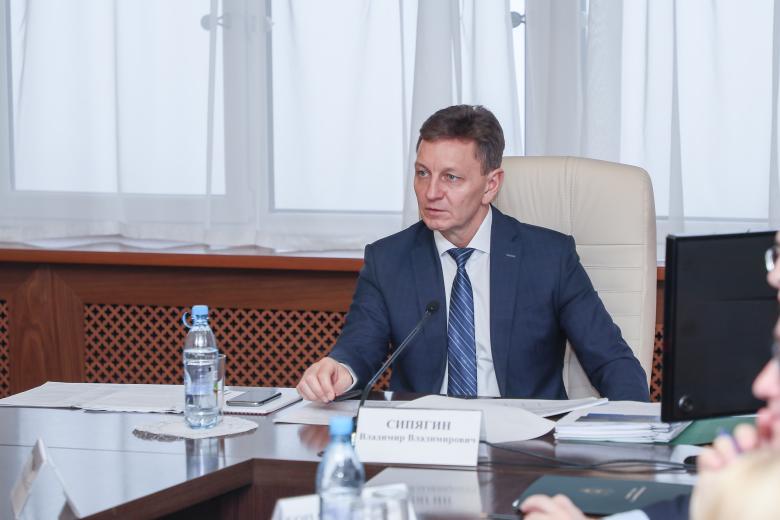 Владимир Сипягин
