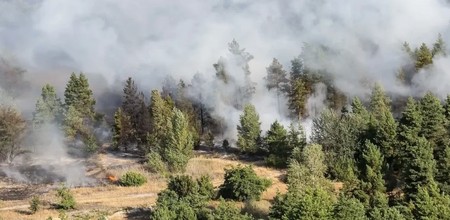 Сильный лесной пожар возник в американском штате Юта
