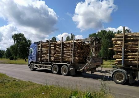 Сибирскую компанию заподозрили в многомиллионной контрабанде древесины