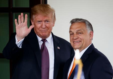 Политолог допустил наличие договоренности между Орбаном и Трампом