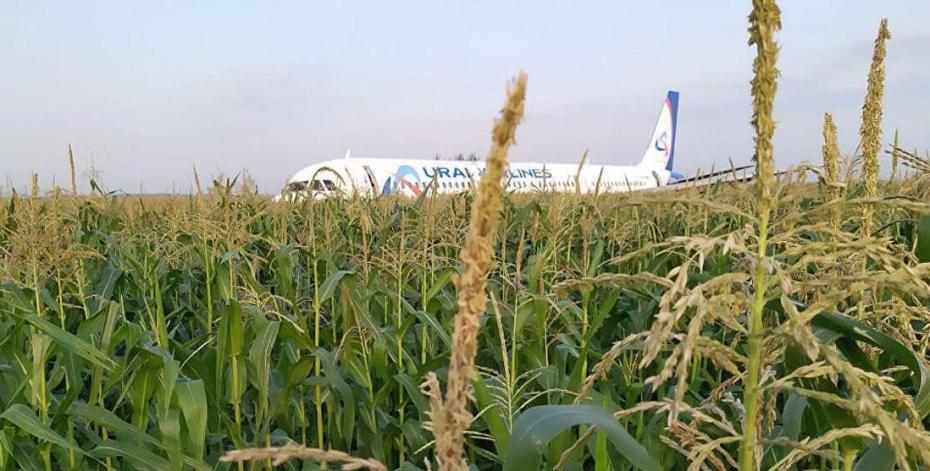 Аварийная посадка Airbus А321 под Жуковским