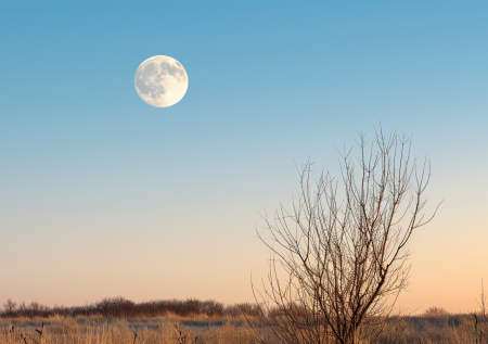 Фаза Луны сегодня, 8 ноября 2025 года. Сидим дома и прибираемся
