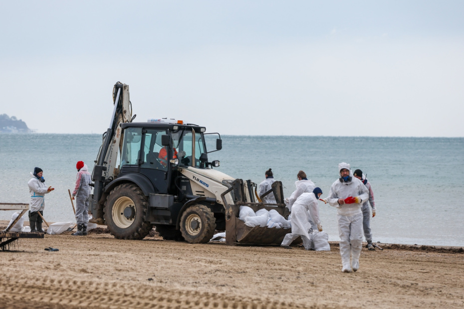 Разлив мазута в Черном море: что известно через месяц, как накажут виновных