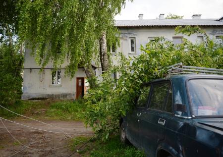 Ураган оставил без света более 100 населенных пунктов в Омской области