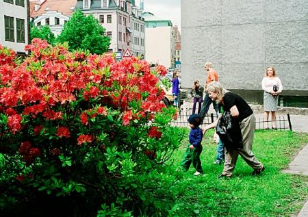 Юрист рассказал, кого могут лишить детских пособий
