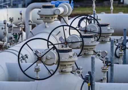 Одна из стран ЕС нашла альтернативы российскому газу
