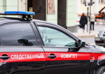 Ребенок утонул в карьере под Петербургом, пытаясь достать игрушки