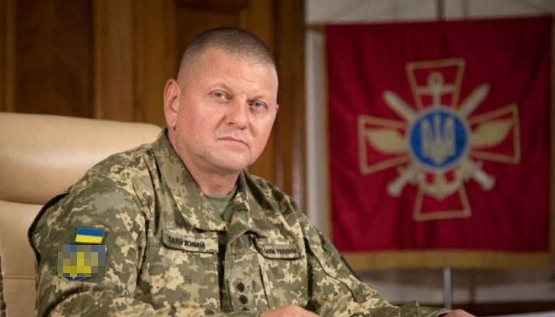 Валерий Залужный