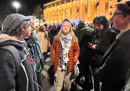 Опубликованы фото Греты Тунберг на митинге в Тбилиси