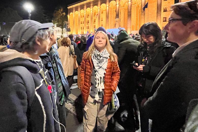 Грета Тунберг на митинге оппозиции в Тбилиси
