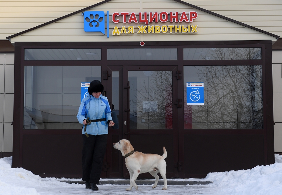 Кинолог на прогулке с собакой в первой государственной гостинице для животных в Казани