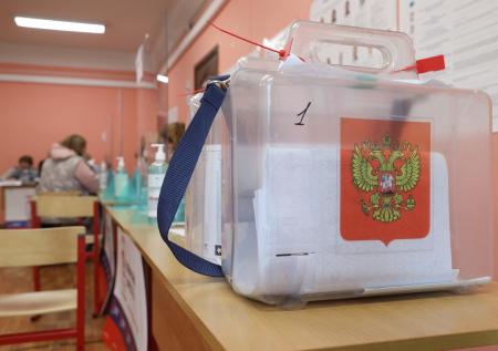 Дед Мороз проголосовал на выборах в Госдуму