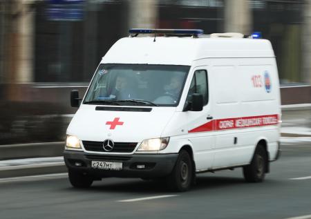 Стая собак растерзала десятилетнюю девочку в российском городе