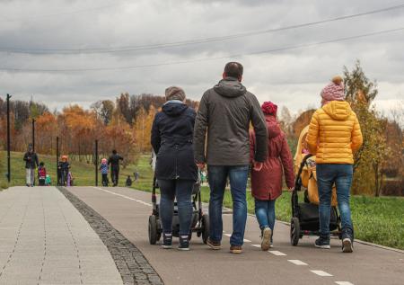 «Главная новелла — введение охранного ордера»