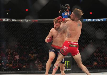 Появилась информация о проведении турнира Bellator в Москве