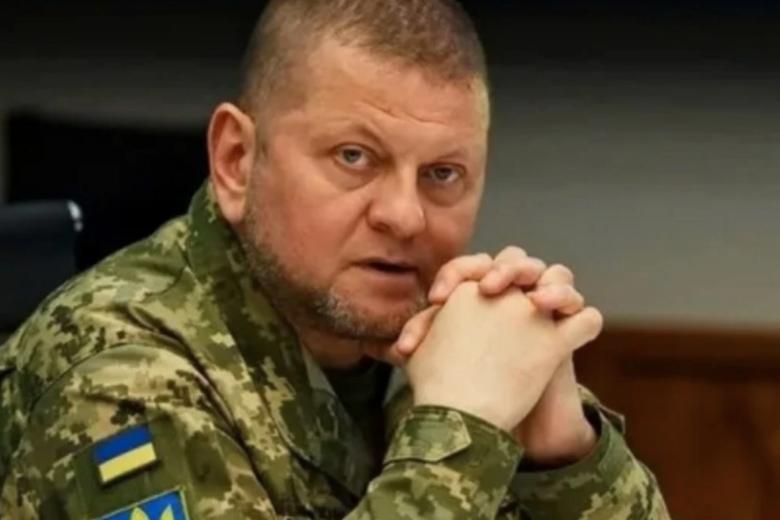 Валерий Залужный