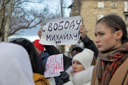 Спасти нерядового Мишу: устроит ли партия Саакашвили новую «революцию роз»