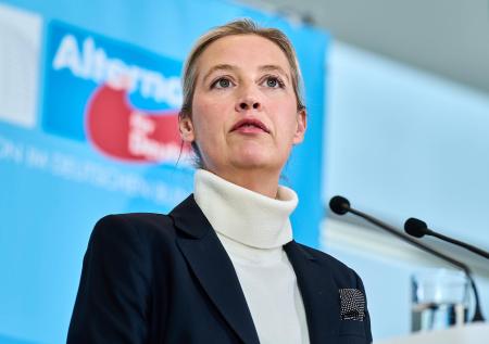 В Германии потеряла популярность «друг России» из АдГ