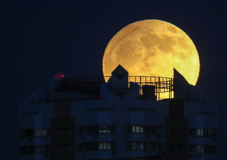 Фаза Луны сегодня, 5 января: кормим кошек рыбой, идем к начальству