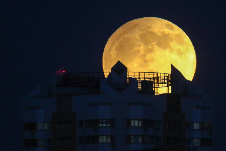 Фаза Луны сегодня, 5 января: кормим кошек рыбой, не переедаем, платим по счетам