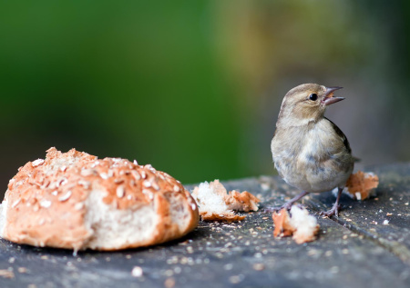 Какой сегодня день? Праздники и памятные даты 15 марта 2026 года