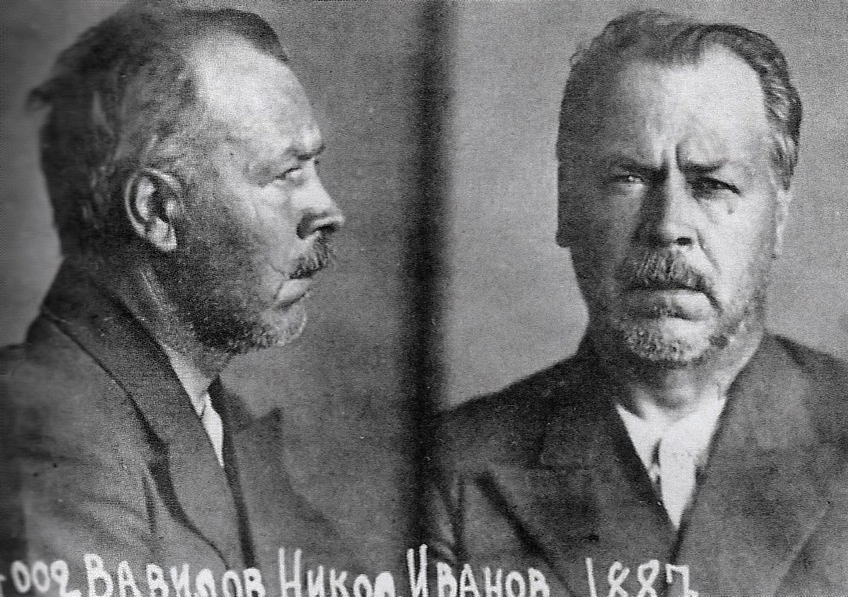 Николай Вавилов