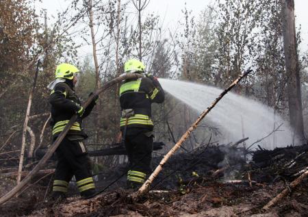 В Уссурийске ввели особый режим из-за крупного лесного пожара