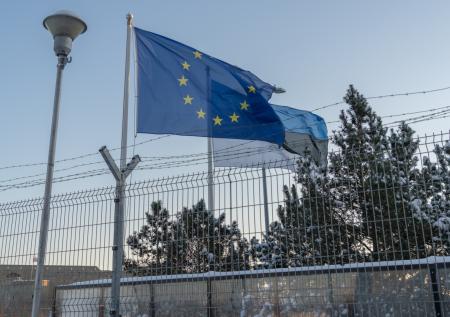 В эстонской полиции подтвердили, что не получали запрос об украинке Вовк