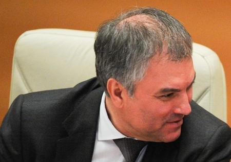 Володин поедет на Новый год к Болсонару