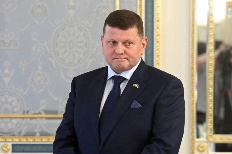 Валерий Залужный