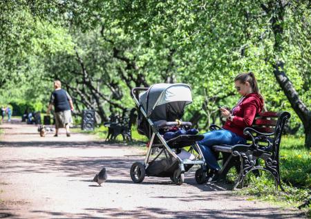 Малообеспеченным семьям рассказали, что делать при отказе в госпомощи