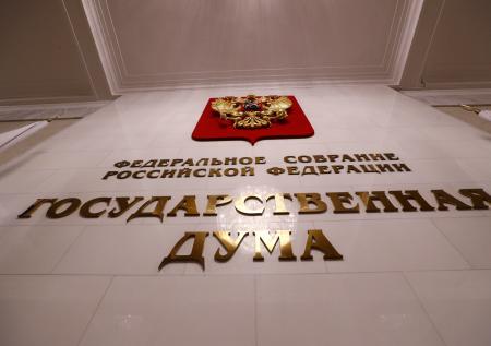 В Госдуме поспорили о регулировании онлайн-митингов
