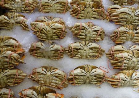 Россиянам посоветовали питаться крабовым мясом