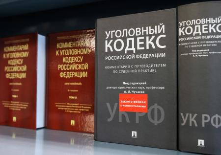 Автор поправок к Уголовному кодексу обозначила сроки их разработки