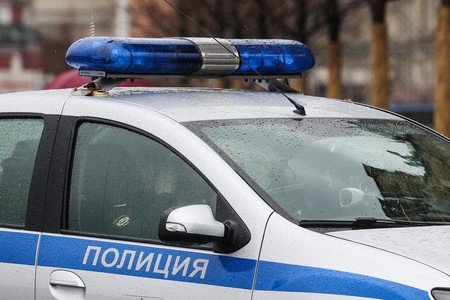 Пенсионер с мачете принялся рубить пассажиров поезда под Новосибирском
