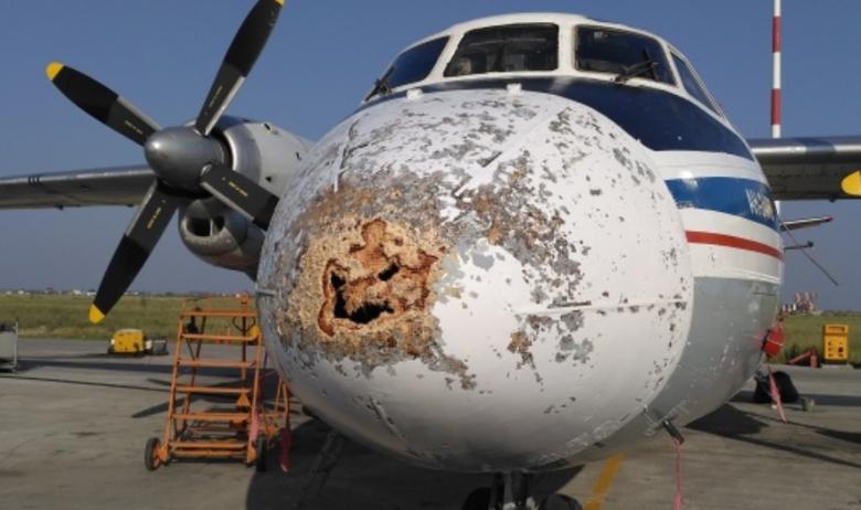 Частично повреждённый фюзеляж Ан-24