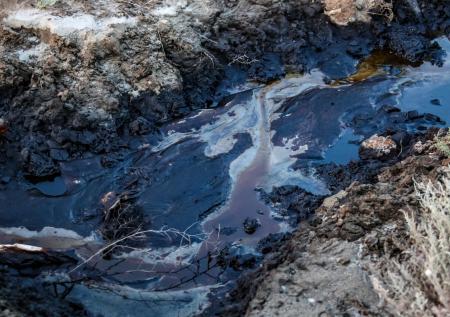 Крупное месторождение нефти открыли в Экваториальной Гвинее