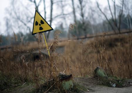 Огонь в Чернобыльской зоне подошёл вплотную к хранилищам с радиоотходами