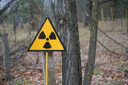Ученые раскрыли, что спасло Хиросиму и погубило Чернобыль